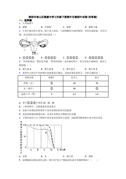 深圳市南山区桃源中学七年级下册期中生物期中试卷(含答案)