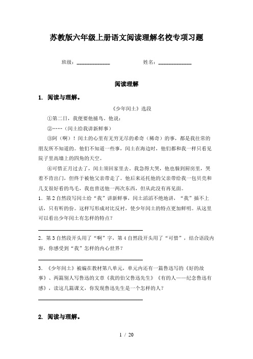 苏教版六年级上册语文阅读理解名校专项习题