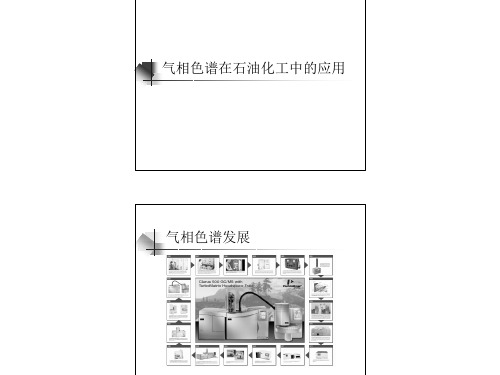 气相色谱在石油化工中的应用-1