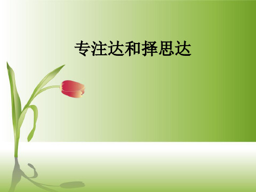 专注达和择思达ppt课件