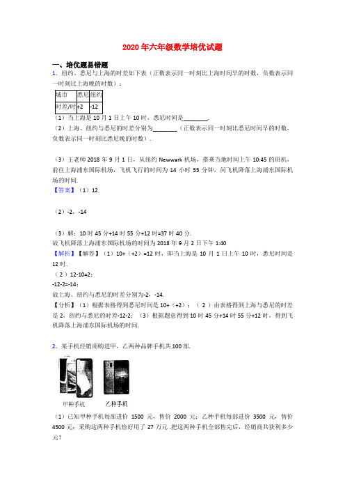 2020年六年级数学培优试题