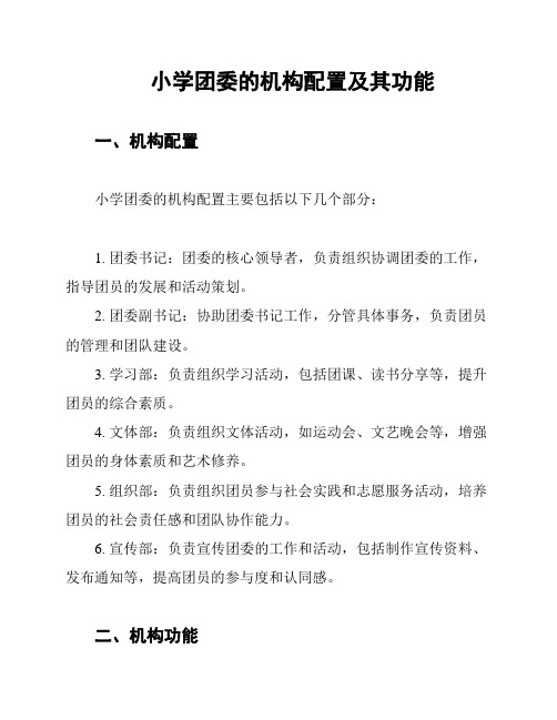 小学团委的机构配置及其功能