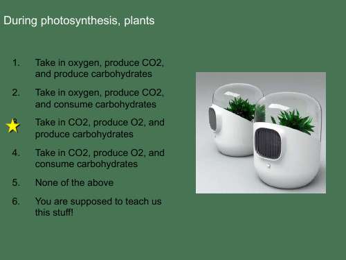 植物光合作用全英文课件photosynthesis lecture