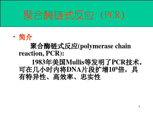 PCR