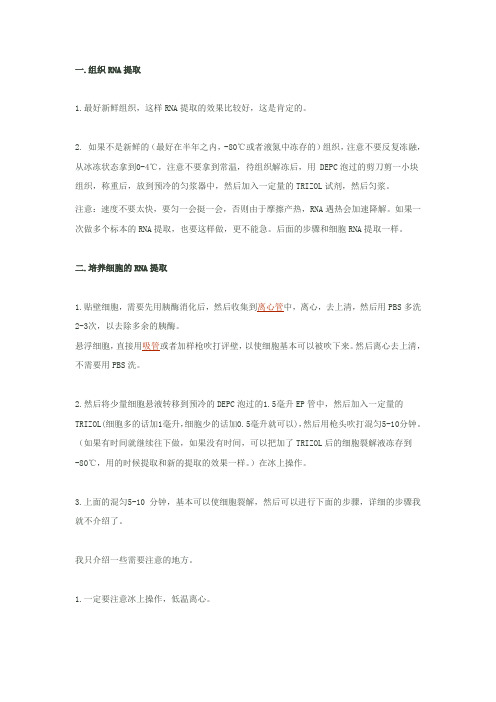 RNA提取心得(组织RNA提取和培养细胞的RNA提取)