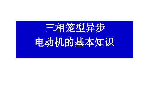 三相笼型异步电动机的基本知识