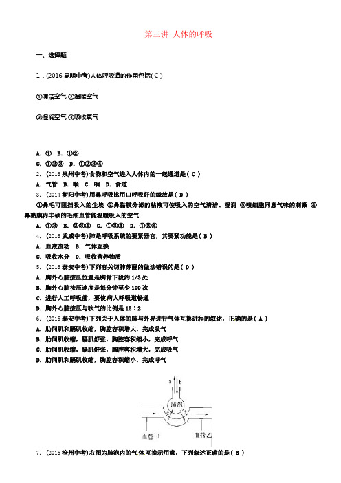 中考生物教材知识梳理第四单元生物圈中的人第三讲人体的呼吸精练