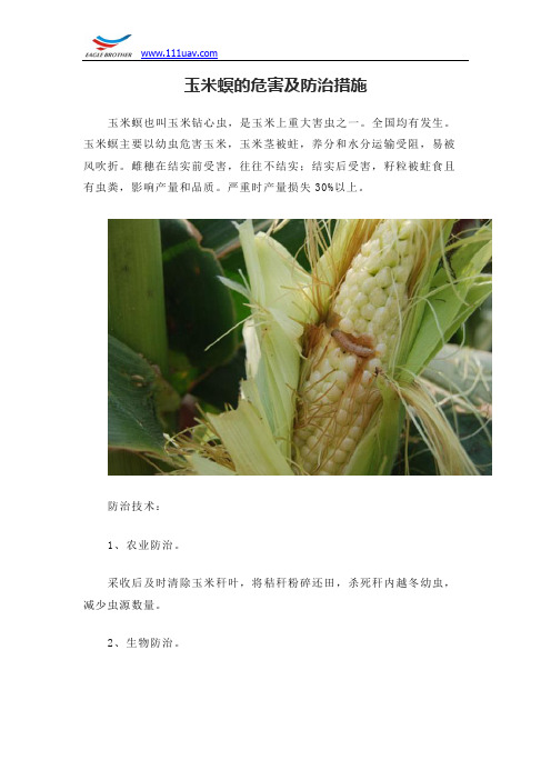 玉米螟的危害及防治措施