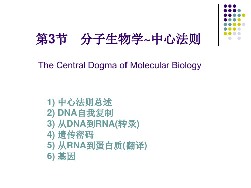 生物信息学4分子生物学中心法则