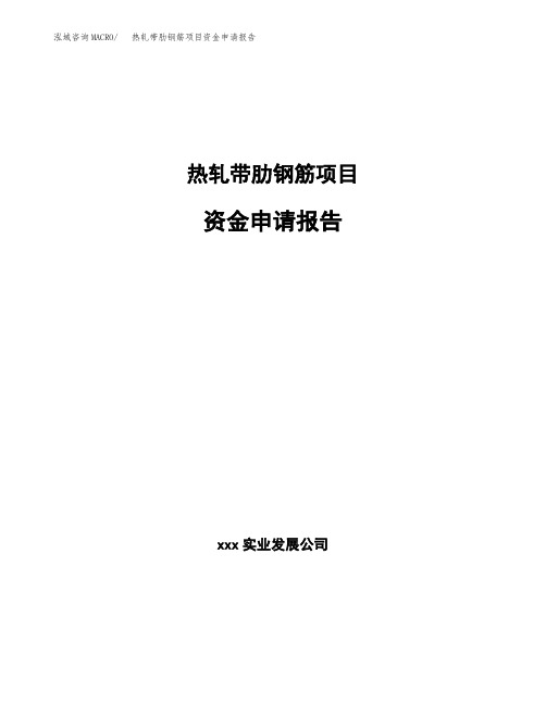 热轧带肋钢筋项目资金申请报告 (1)