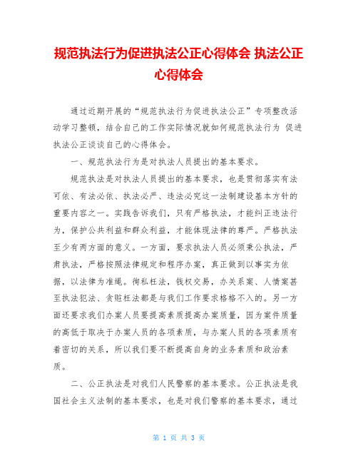 规范执法行为促进执法公正心得体会 执法公正心得体会