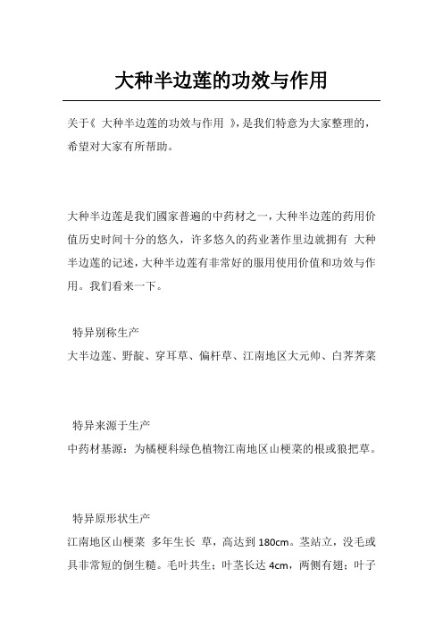 大种半边莲的功效与作用