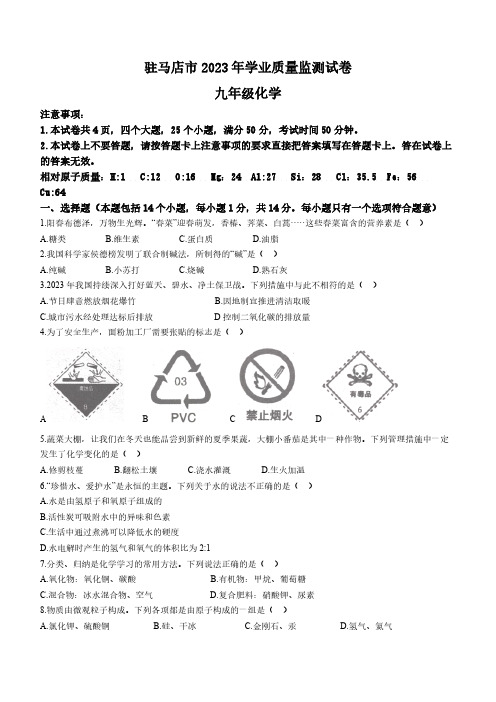 2023年河南省驻马店市中考二模化学试题(含答案)