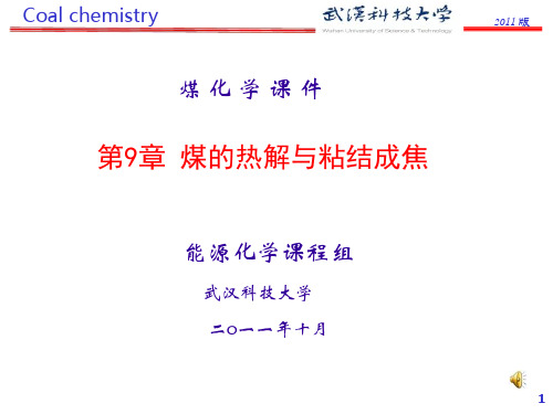 煤的热解与粘结成焦 (2)资料