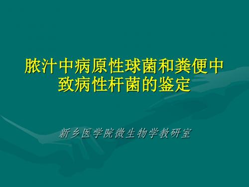 脓汁中病原性球菌和粪便中致病性杆菌的鉴定(精)