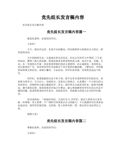 竞先组长发言稿内容