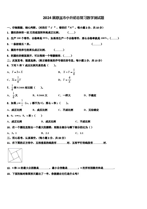 2024届慈溪市小升初总复习数学测试题含解析