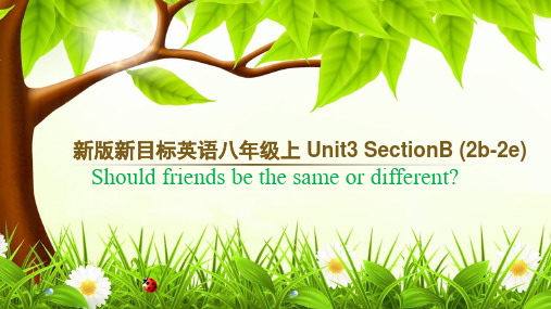 人教版八年级上册英语Unit3 Section B 2b —2e  (共46页)