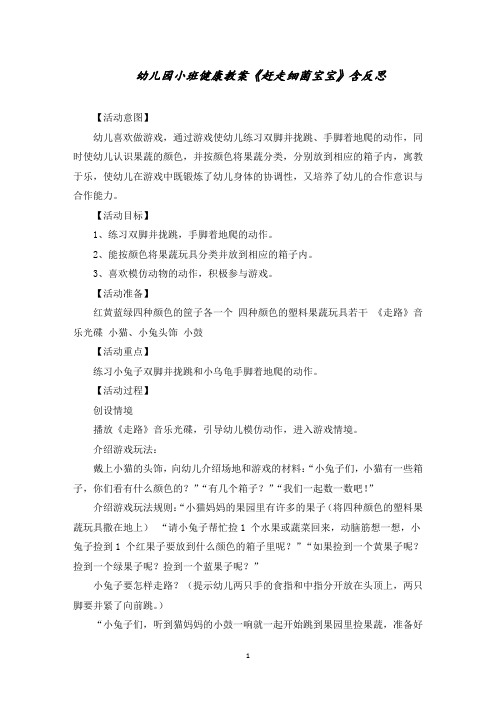 幼儿园小班健康教案《赶走细菌宝宝》含反思精选