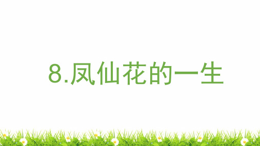 最新教科版四年级下册第一单元植物的生长变化第8课时《凤仙花的一生》教学课件