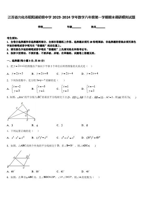 江苏省兴化市昭阳湖初级中学2023-2024学年数学八年级第一学期期末调研模拟试题含答案