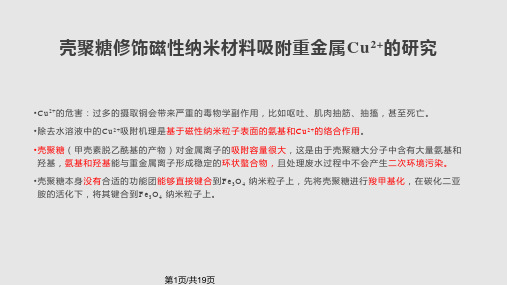 壳聚糖磁性纳米材料吸附铜离子的研究概要PPT课件