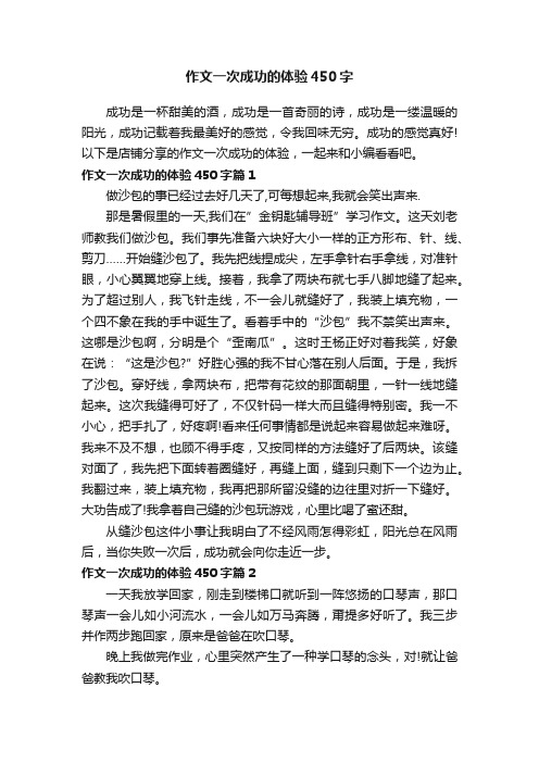 作文一次成功的体验450字