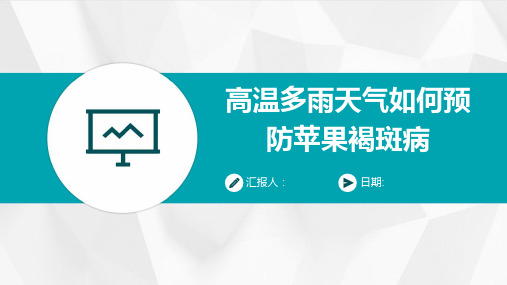 高温多雨天气如何预防苹果褐斑病