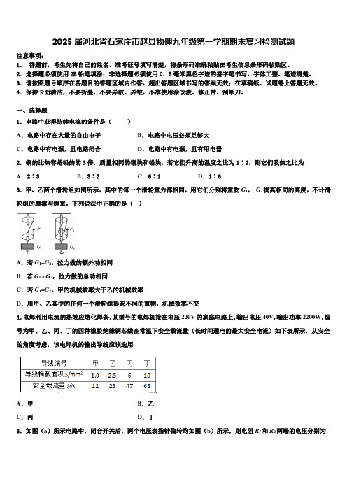 2025届河北省石家庄市赵县物理九年级第一学期期末复习检测试题含解析