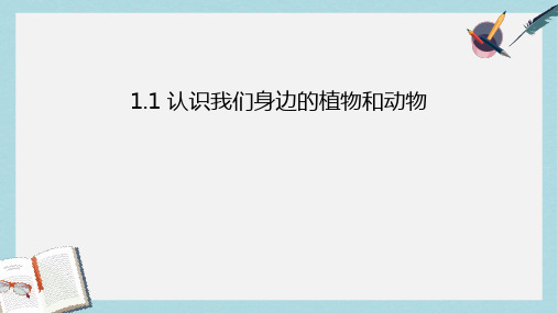 七年级生物上册1.1认识我们身边的植物和动物课件北京课改版