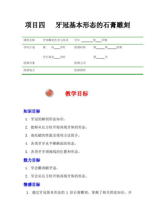 牙冠基本形态的石膏雕刻