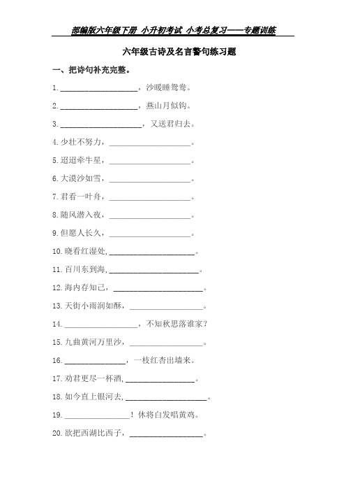 部编版六年级下册 小升初考试 小考总复习 专题训练——古诗及名言警句练习题