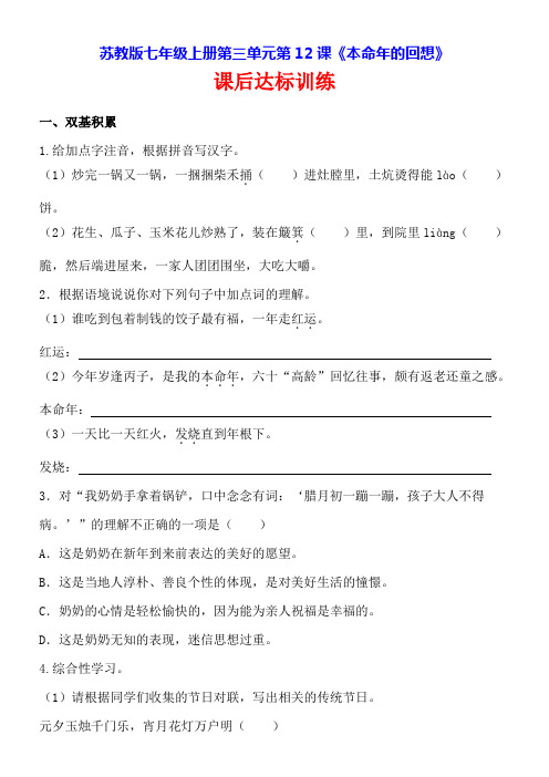 初中语文苏教版七年级上第三单元(民俗风情)11端午日(沈从文) 省赛获奖