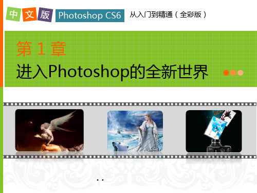 中文版PhotoshopCS6从入门到精通第1章精品PPT课件