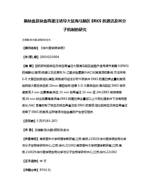 脑缺血及缺血再灌注诱导大鼠海马脑区ERK5的激活及其分子机制的研究