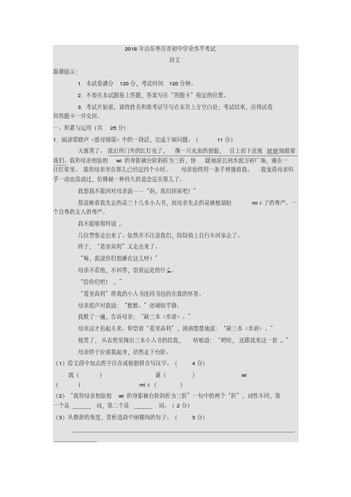 2018年山东枣庄市中考语文试卷(含答案)