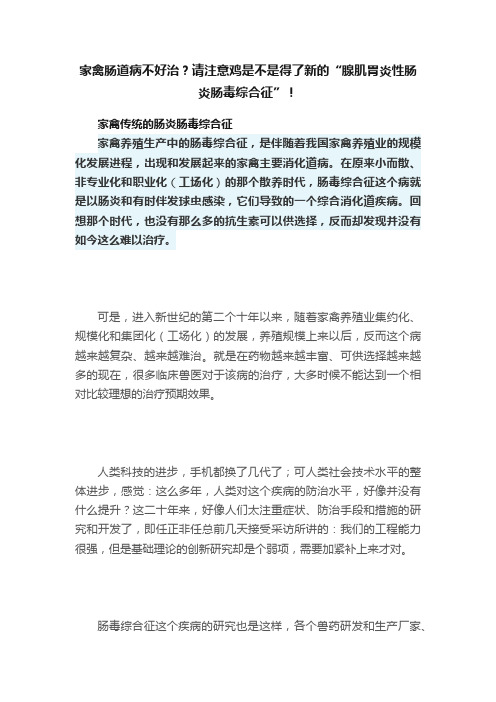 家禽肠道病不好治？请注意鸡是不是得了新的“腺肌胃炎性肠炎肠毒综合征”！