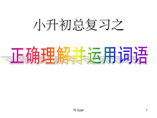 六年级语文总复习之词语的理解和运用