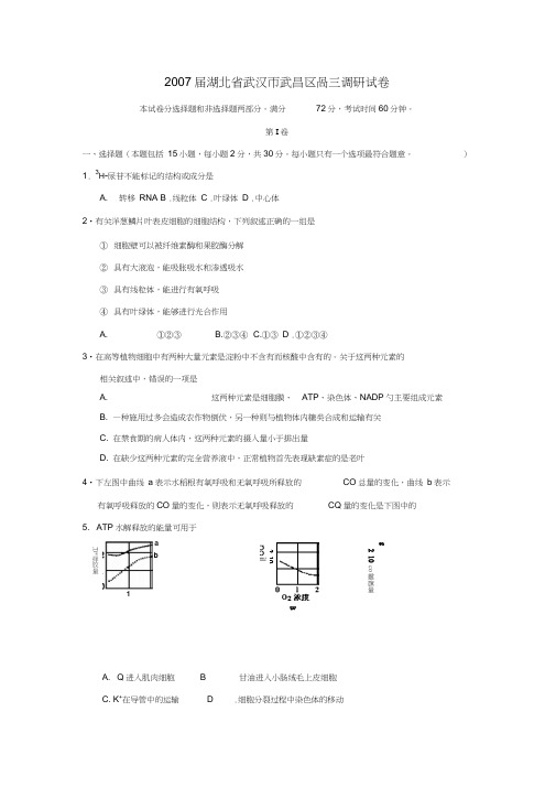 届湖北省武汉市武昌区高三调研试卷