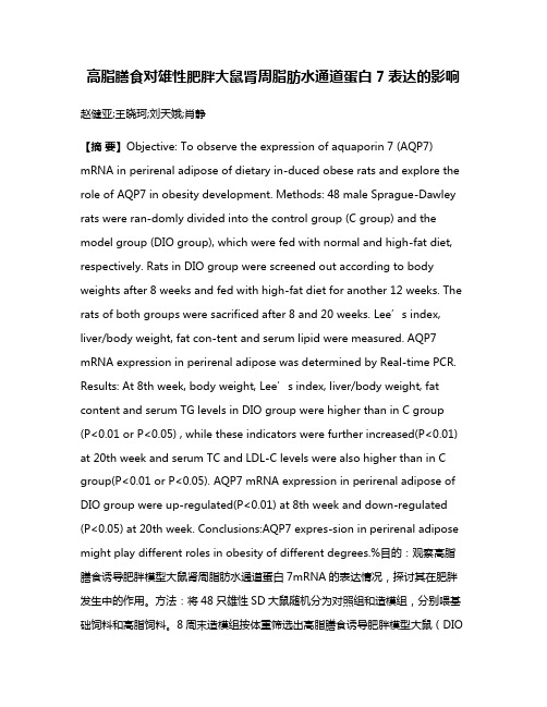 高脂膳食对雄性肥胖大鼠肾周脂肪水通道蛋白7表达的影响