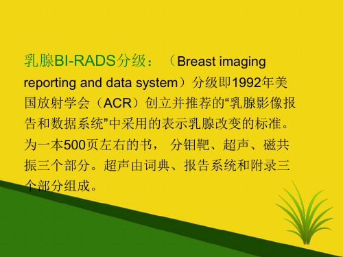 乳腺超声BI-RADS分级PPT资料文档