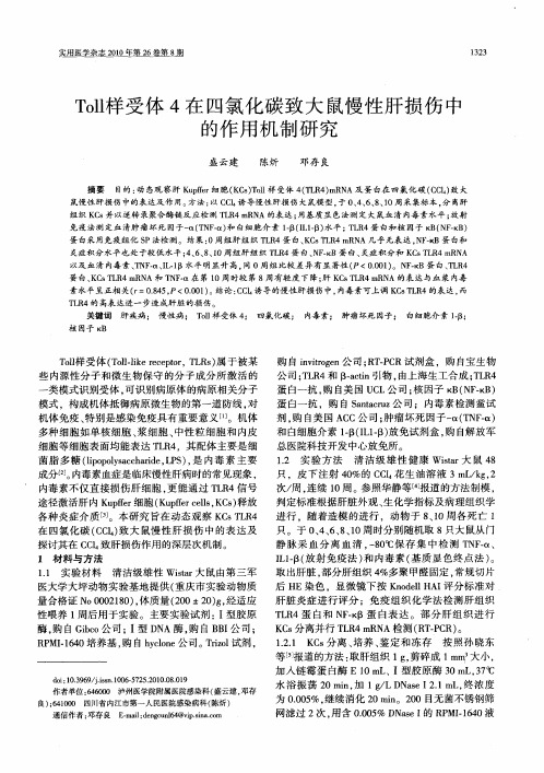 Toll样受体4在四氯化碳致大鼠慢性肝损伤中的作用机制研究