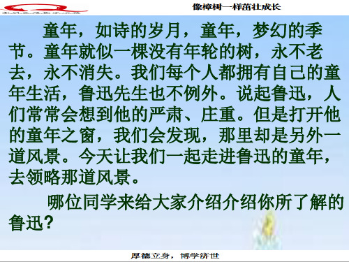 我的百草园 PowerPoint 演示文稿