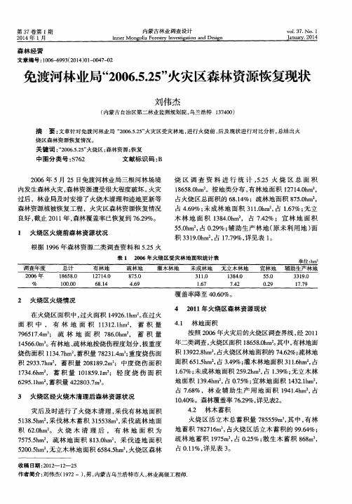 免渡河林业局“2006.5.25”火灾区森林资源恢复现状