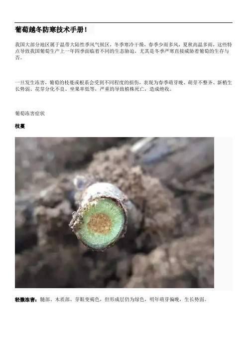 葡萄越冬防寒技术手册