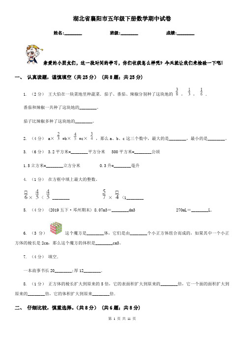 湖北省襄阳市五年级下册数学期中试卷