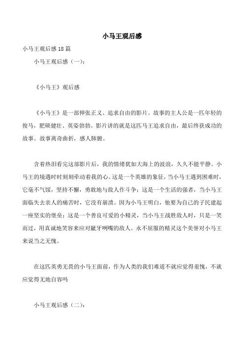 小马王观后感