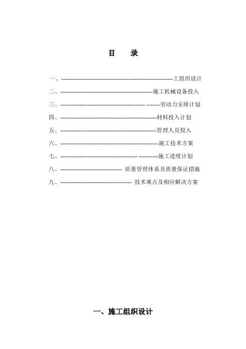 于田县投标文件1