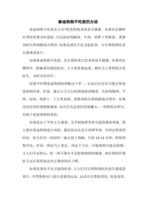 泰迪狗狗不吃饭的办法