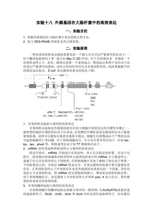 外源基因在大肠杆菌中的高效表达